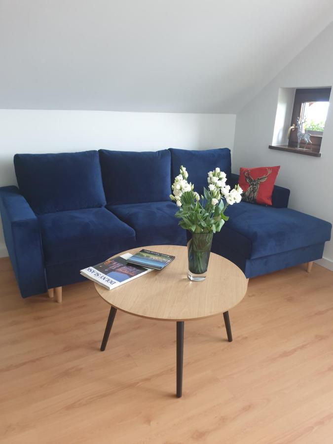 Apartament Panorama Jezow Sudecki Zewnętrze zdjęcie