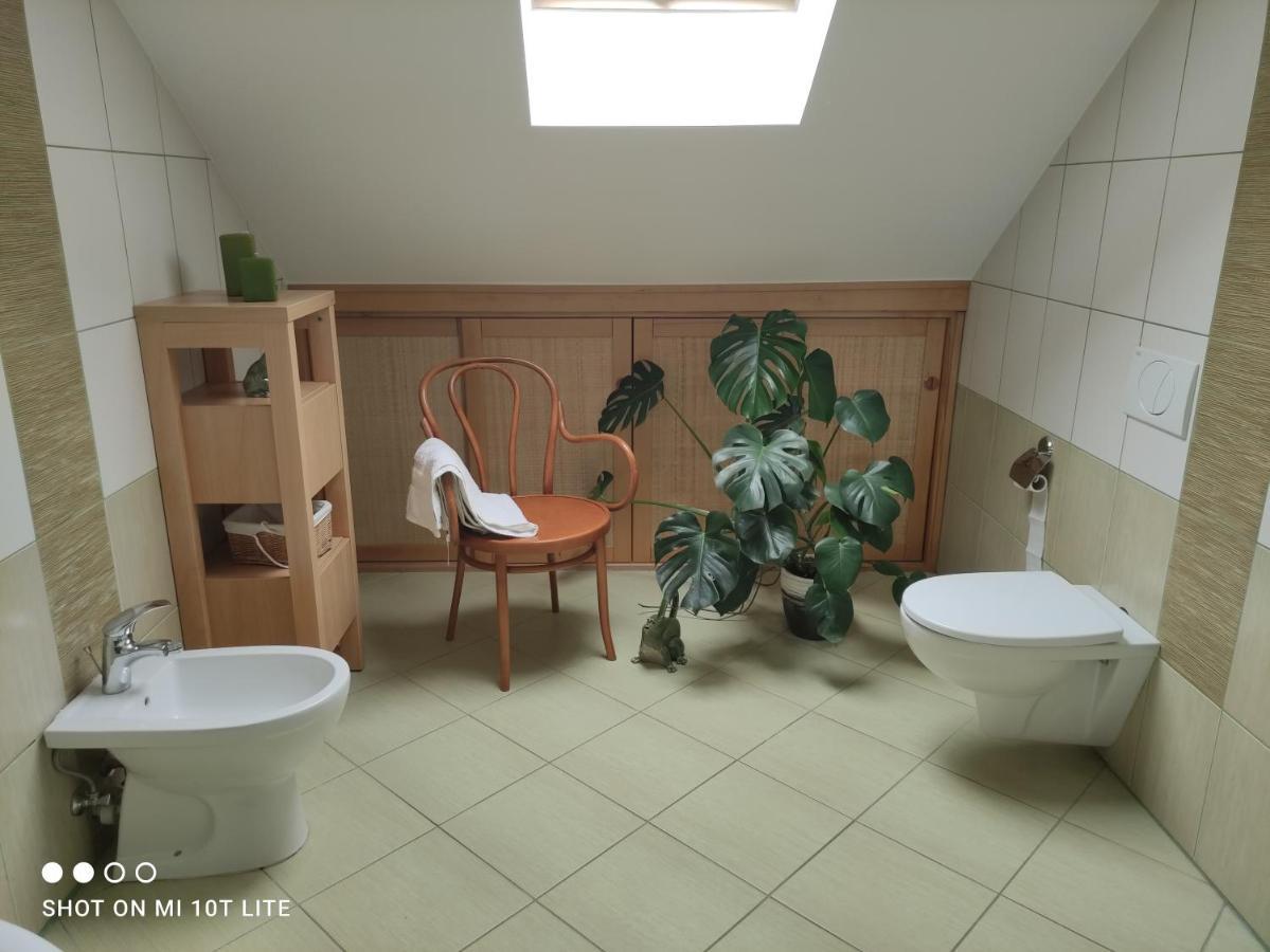 Apartament Panorama Jezow Sudecki Zewnętrze zdjęcie